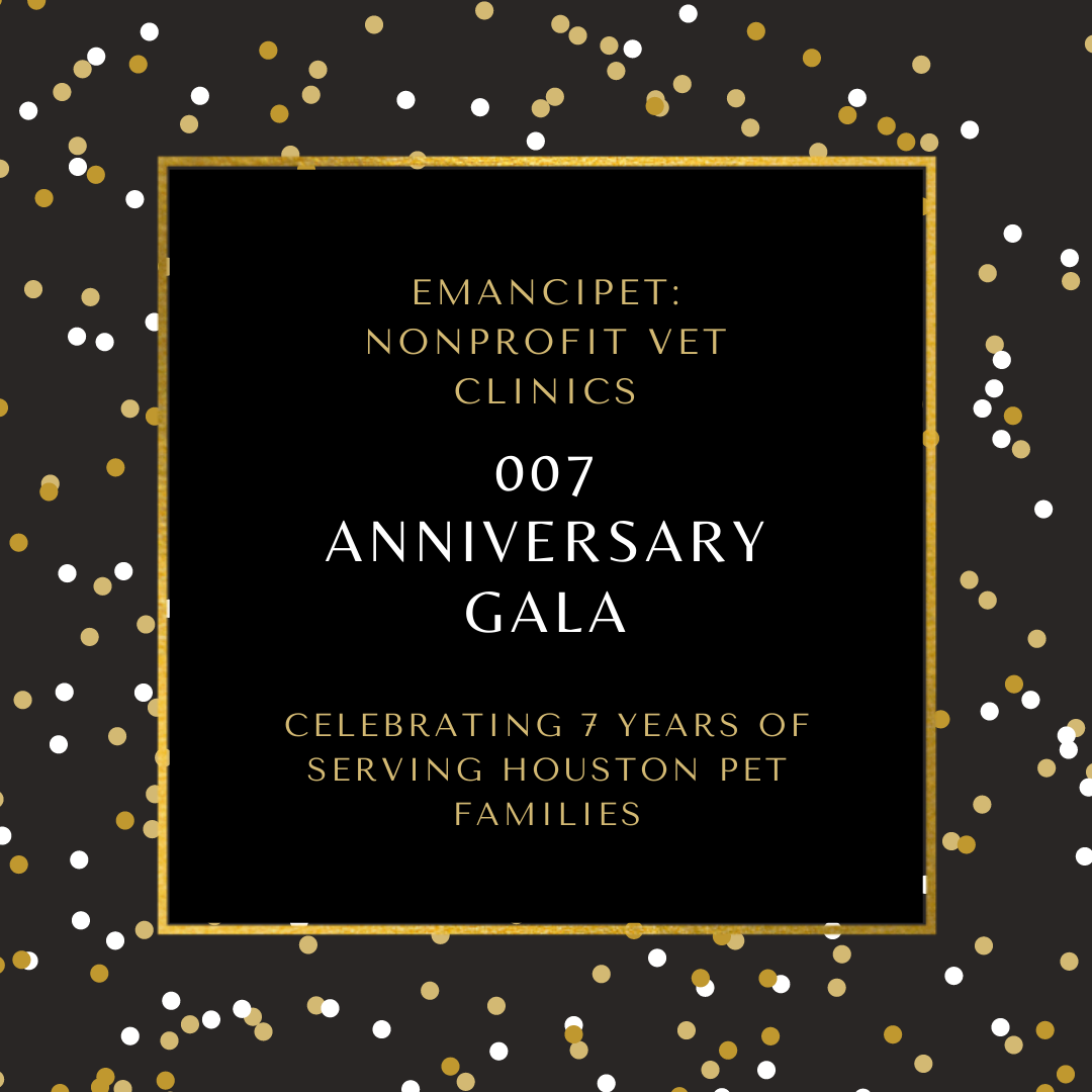 Emancipet Nonprofit Vet Clinics 007 Anniversary Gala