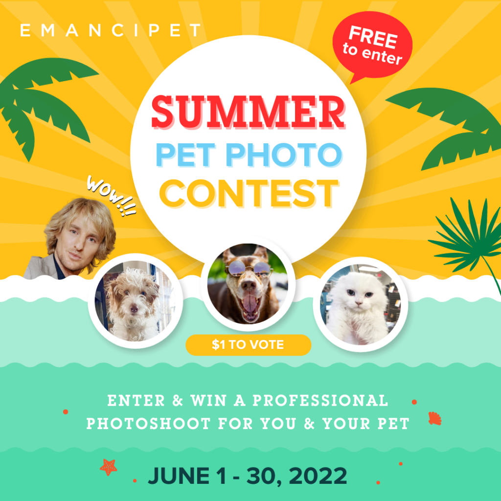 Emancipet Summer Pet Photo Contest | Emancipet Low Cost Vet Clinics